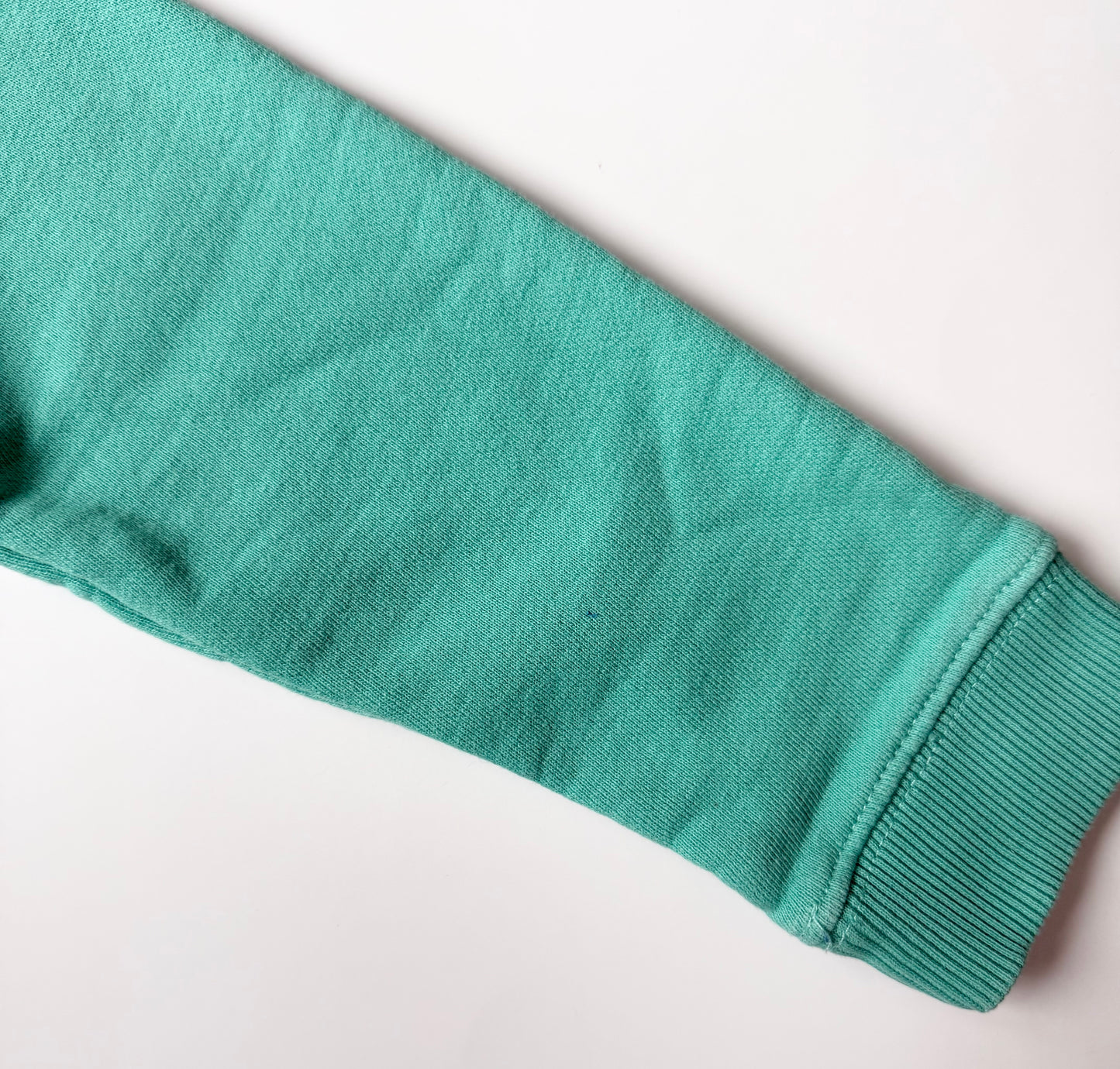 Joules Turquoise “You’re So Boaring!” Sweater (4 Years)