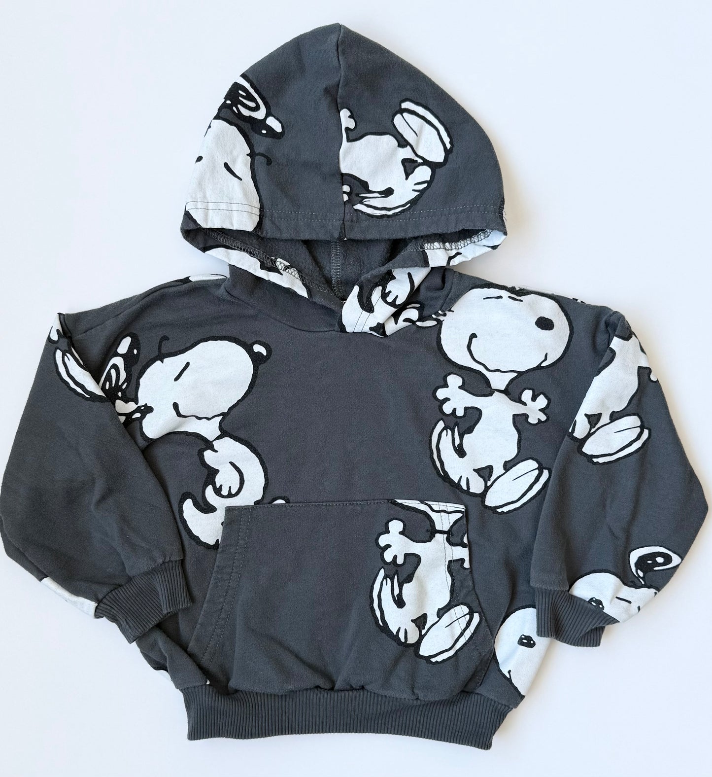 Peanuts x Snoopy Grey Hoodie & Pants Set (3T)