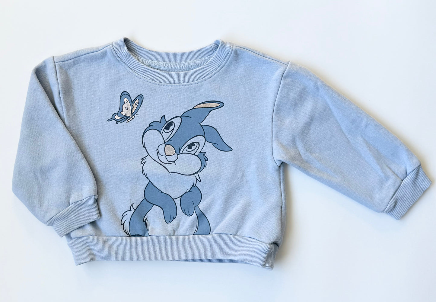 Baby Gap x Disney Blue Thumper Sweater (3T)