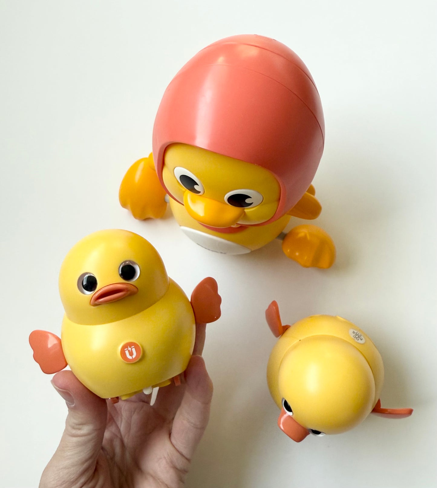 Hahaland Musical Duck Interactive Set
