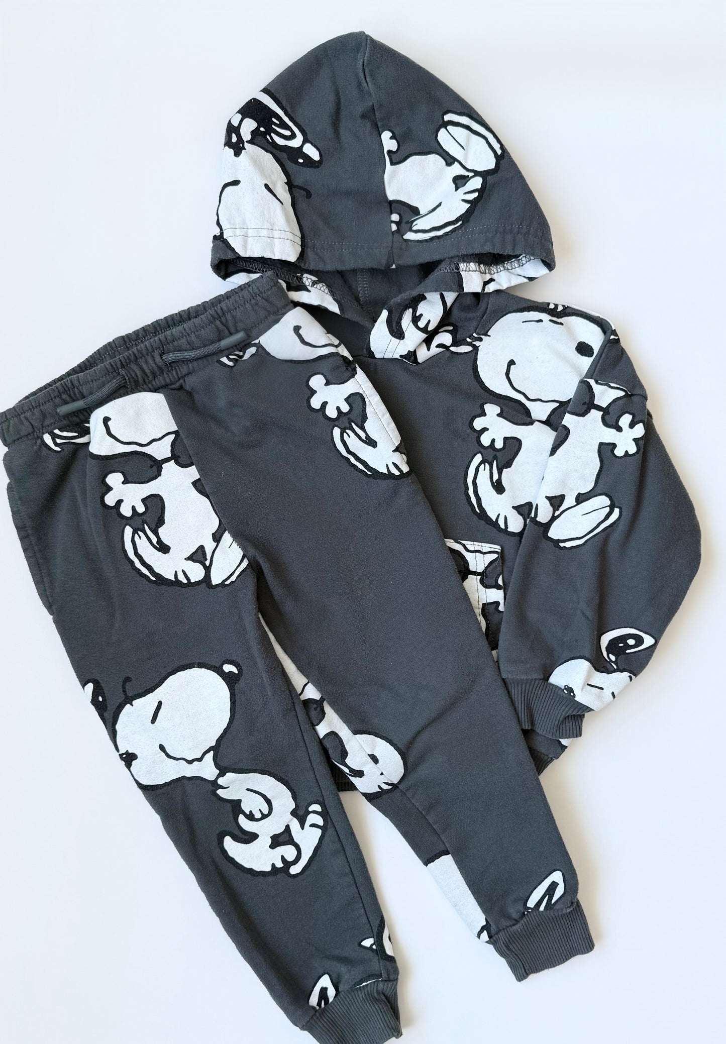 Peanuts x Snoopy Grey Hoodie & Pants Set (3T)