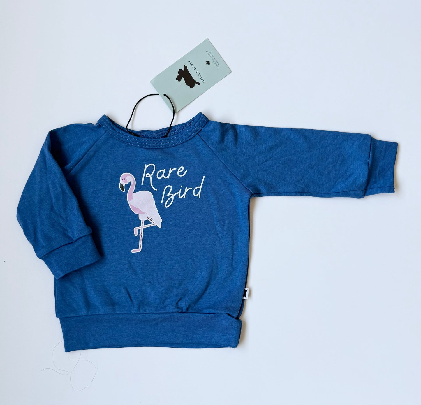 Little & Lively Blue “Rare Bird” Pullover - New (0-6 Months)
