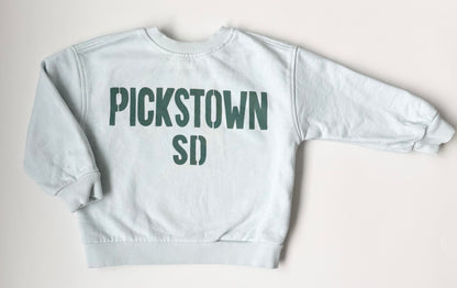 Zara Blue “Pickstown SD” Crewneck Sweater (12-18 Months)