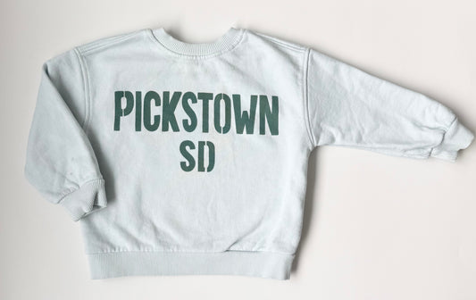 Zara Blue “Pickstown SD” Crewneck Sweater (12-18 Months)