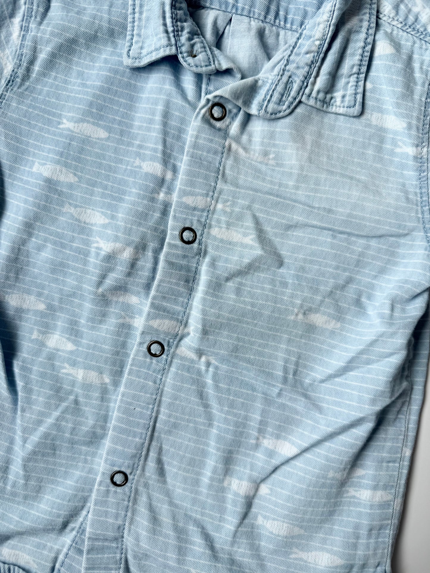 Zara Blue Fish Striped Collared Short Sleeve Snap Up (18-24 Months)