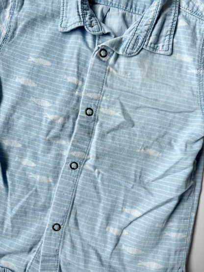 Zara Blue Fish Striped Collared Short Sleeve Snap Up (18-24 Months)