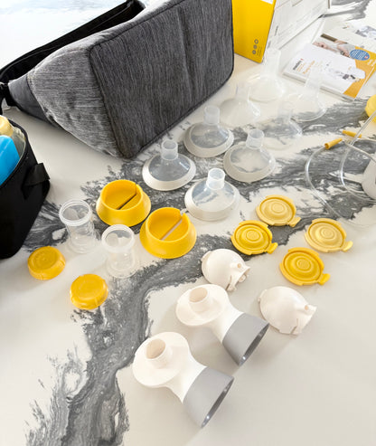 Medela Pump In Style Double Electric Breast Pump