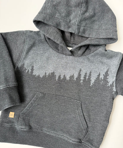 Tentree Grey Forest Hoodie (12-18 Months)
