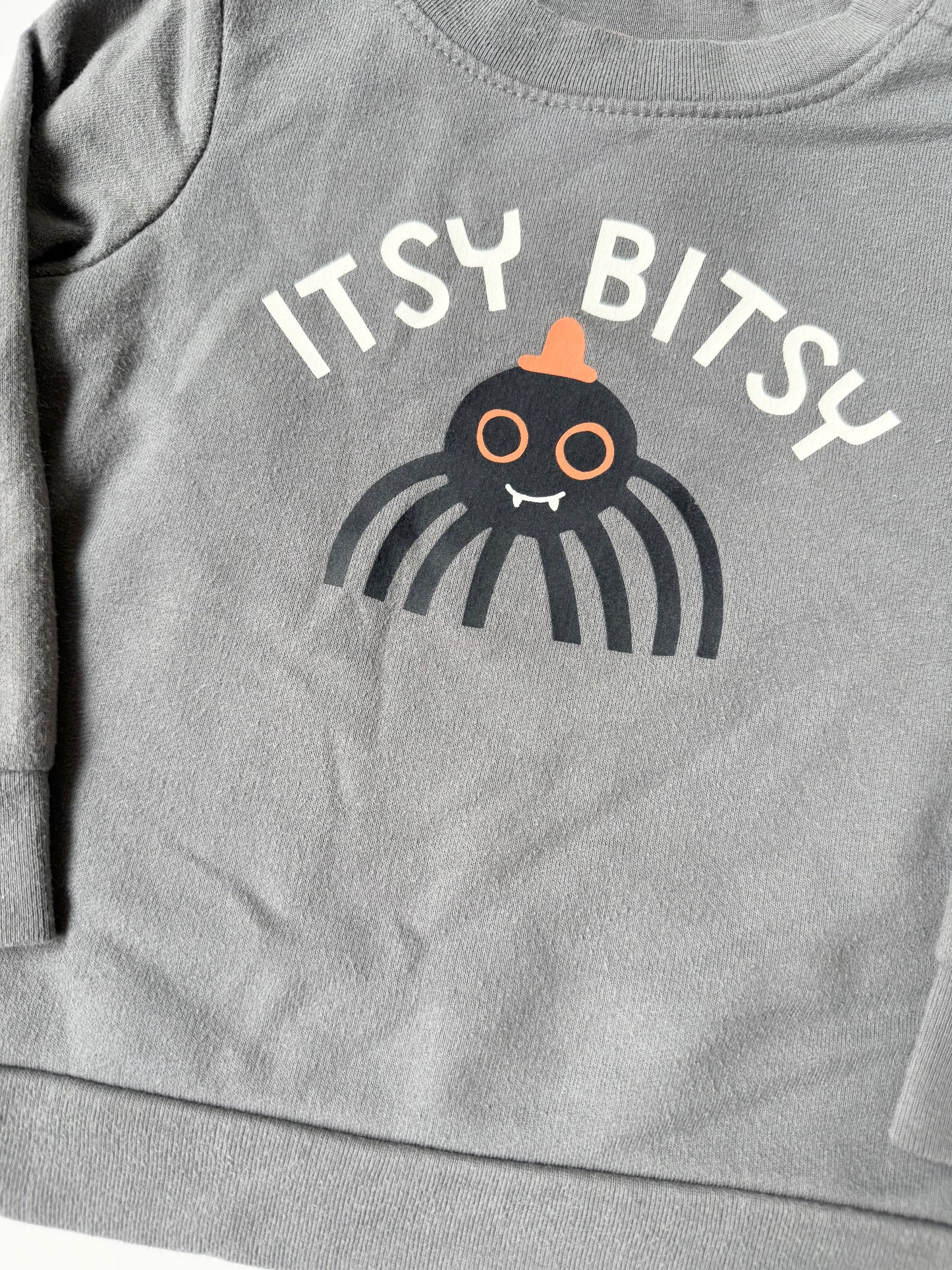 Cat & Jack Grey “Itsy Bitsy” Spider Sweater (18 Months)