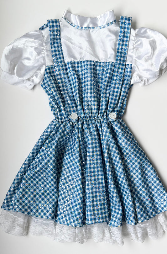 Rubies Wizard of Oz Dorothy Costume (5-7 Years)
