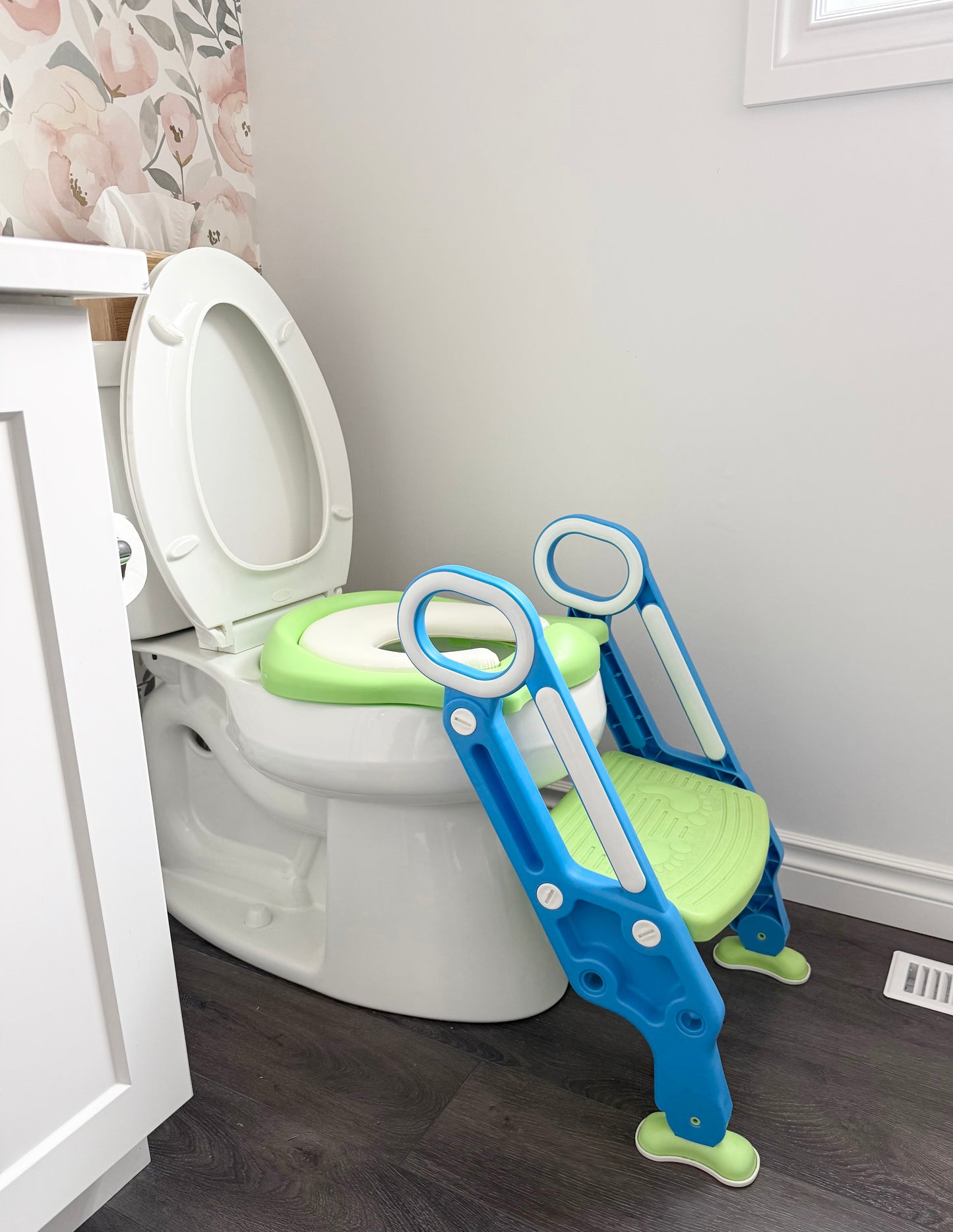 Green & Blue Potty Training Seat