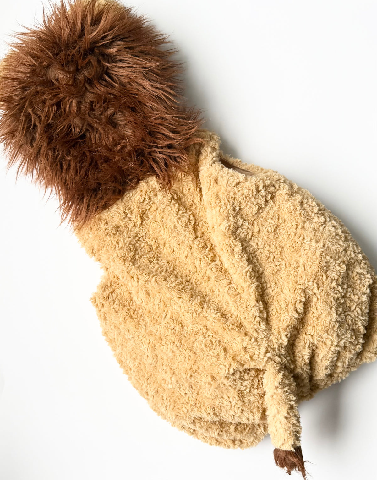 Going Wild Brown Lion Costume (24 Months)