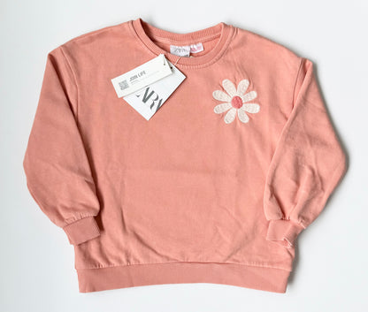 Zara Pink Daisy “Choose Fun” Crewneck Sweater - New (4-5 Years)