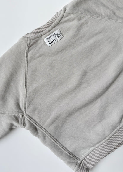 Zara Light Grey “Positive & Happy” Crewneck Sweater (18-24 Months)