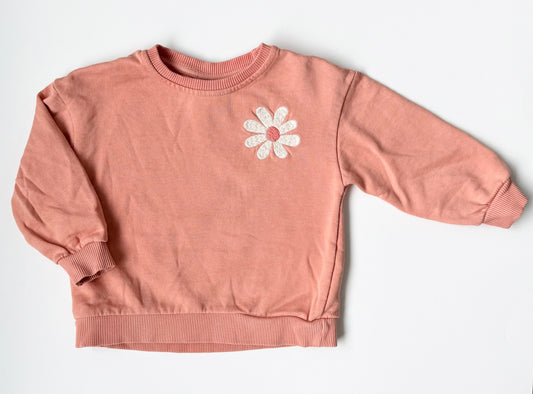 Zara Pink Daisy “Choose Fun” Crewneck Sweater (12-18 Months)