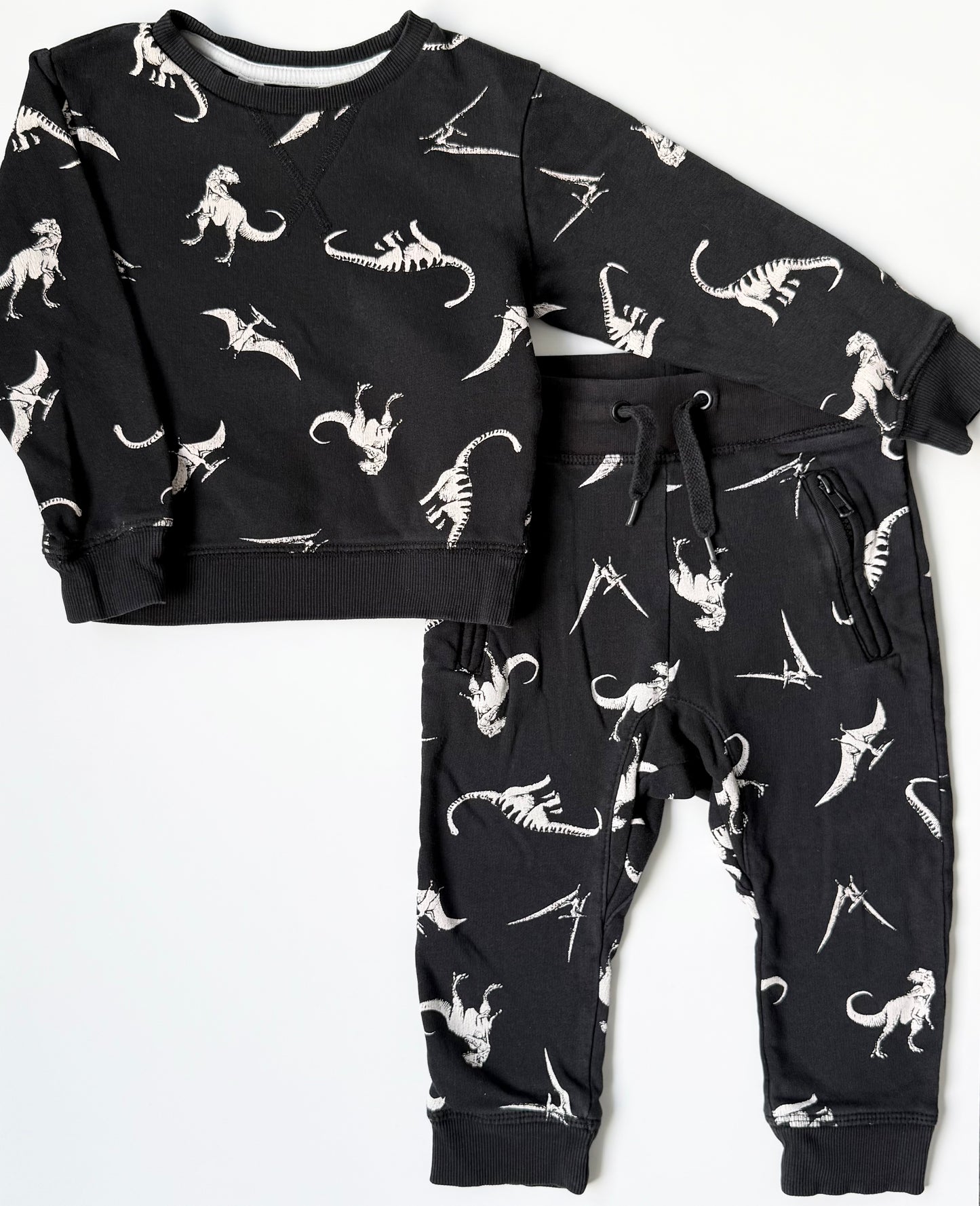 H&M Black Dinosaurs Sweater & Pants Set (18-24 Months)