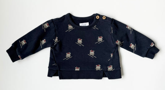 Rise Little Earthlings Blue Skiing Monsters Sweater (6-9 Months)