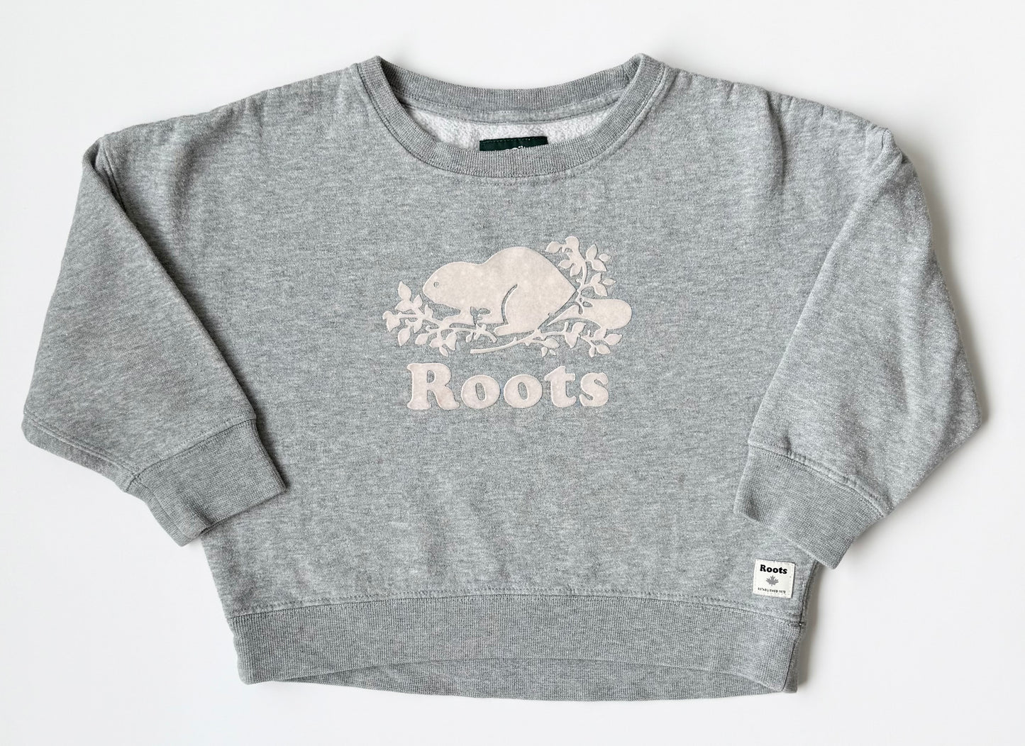 Roots Kids Grey Sparkle Cropped Sweater (5 Years)