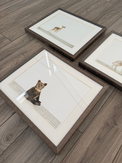 Restoration Hardware Baby & Child Nursery Sharon Montrose Animals Photos - Set Of 3