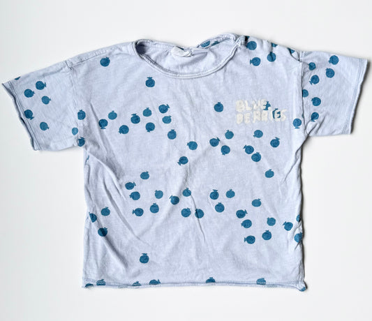 Zara Blue Blueberries T-Shirt (2-3 Years)