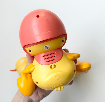Hahaland Musical Duck Interactive Set