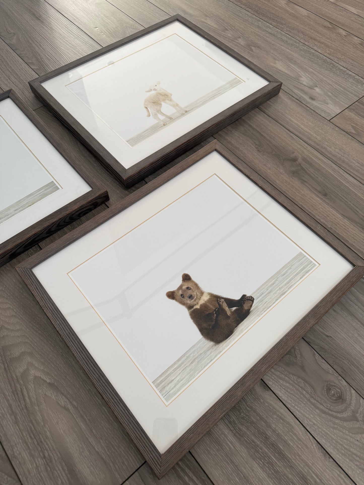 Restoration Hardware Baby & Child Nursery Sharon Montrose Animals Photos - Set Of 3