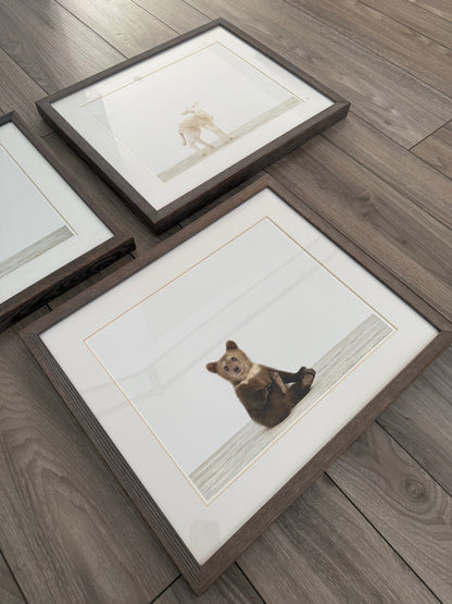 Restoration Hardware Baby & Child Nursery Sharon Montrose Animals Photos - Set Of 3