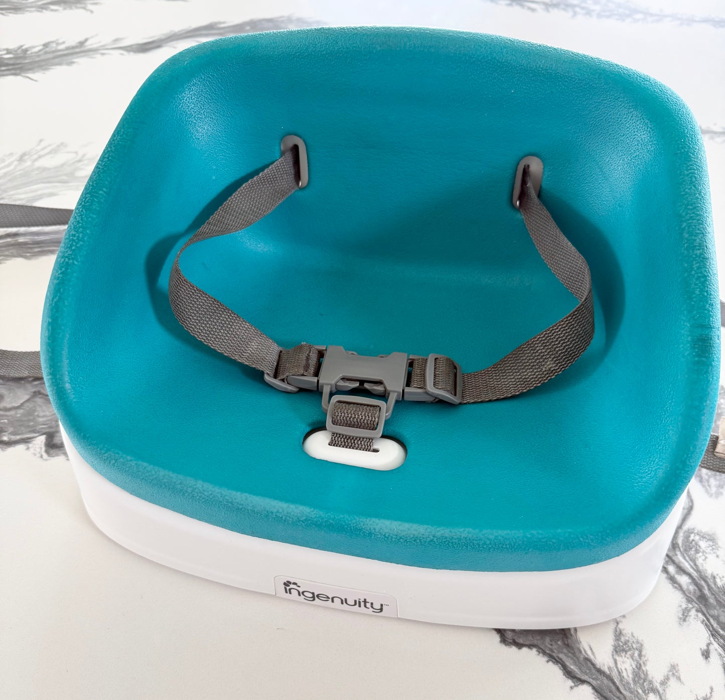 Ingenuity Turquoise & White Booster Seat