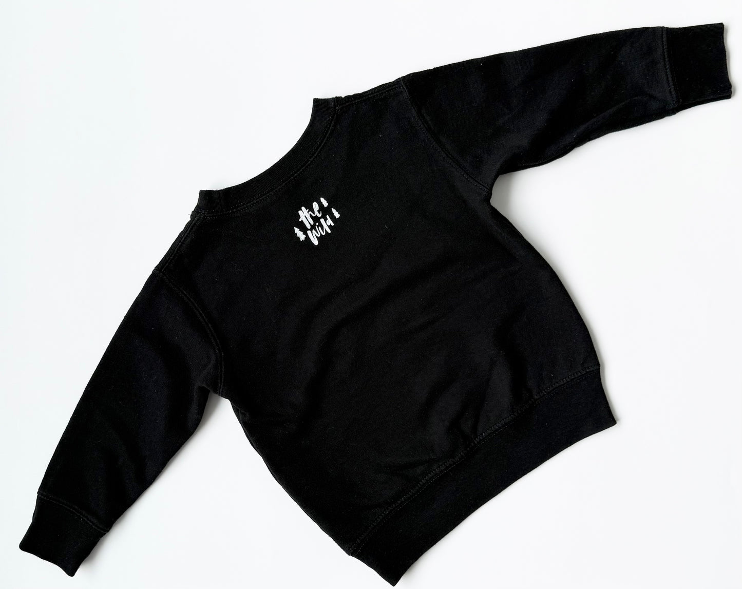 Black “Let’s Go On An Adventure” Sweater (2T)