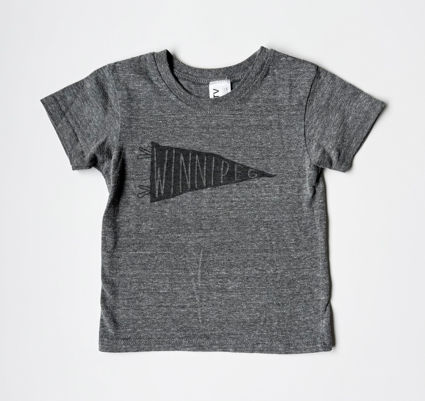 LCMTV Grey Winnipeg T-Shirt (18-24 Months)
