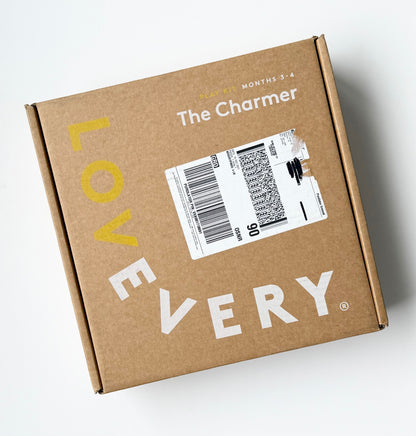 Lovevery The Charmer Play Kit