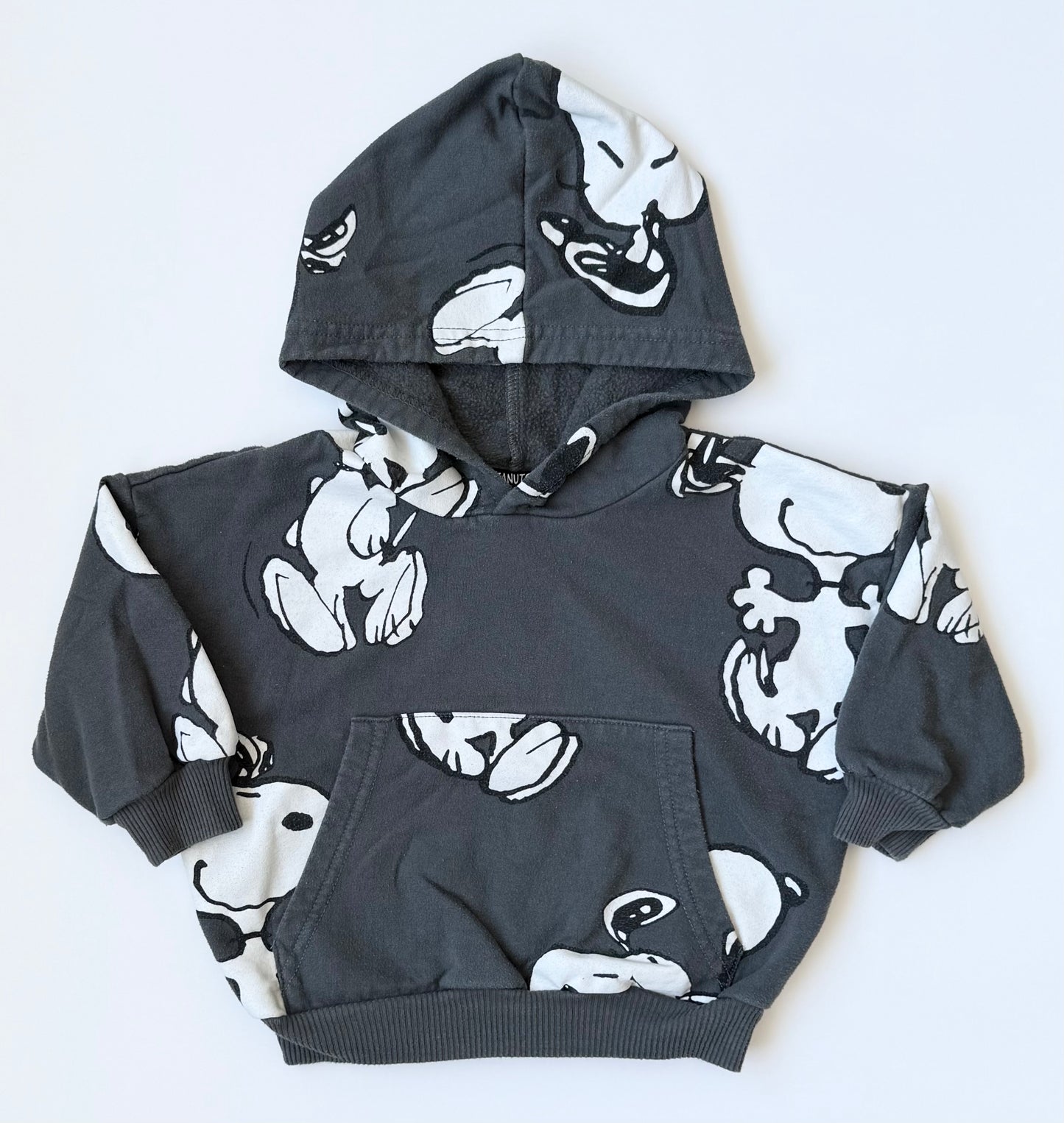 Peanuts x Snoopy Grey Hoodie & Pants Set (18 Months)