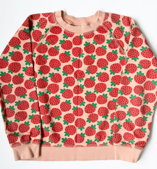 Hanna Andersson Strawberries Sweater (10 Years)