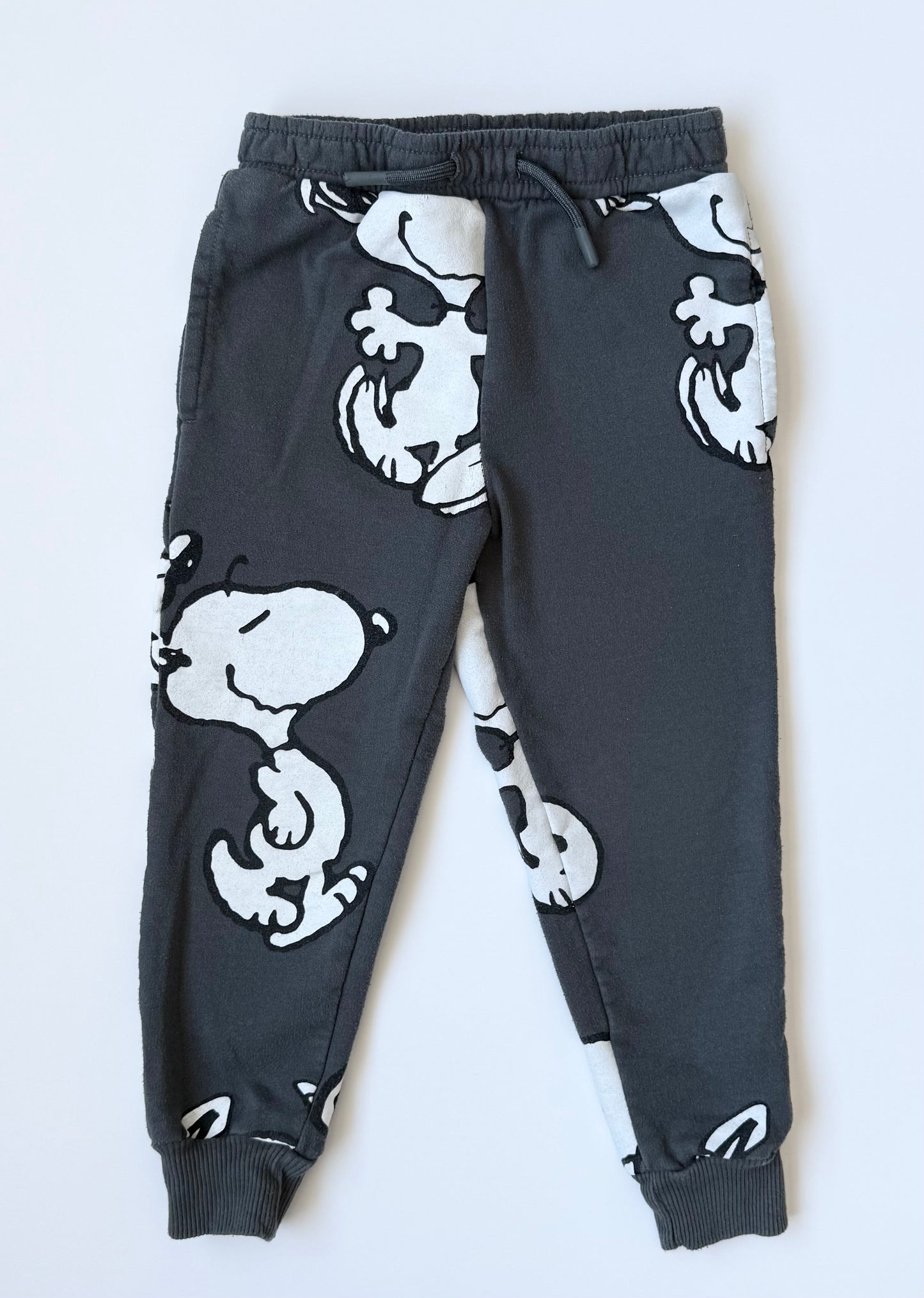 Peanuts x Snoopy Grey Hoodie & Pants Set (3T)