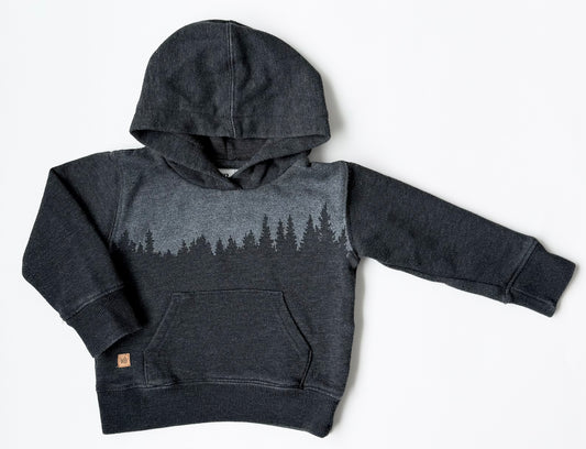 Tentree Grey Forest Hoodie (12-18 Months)
