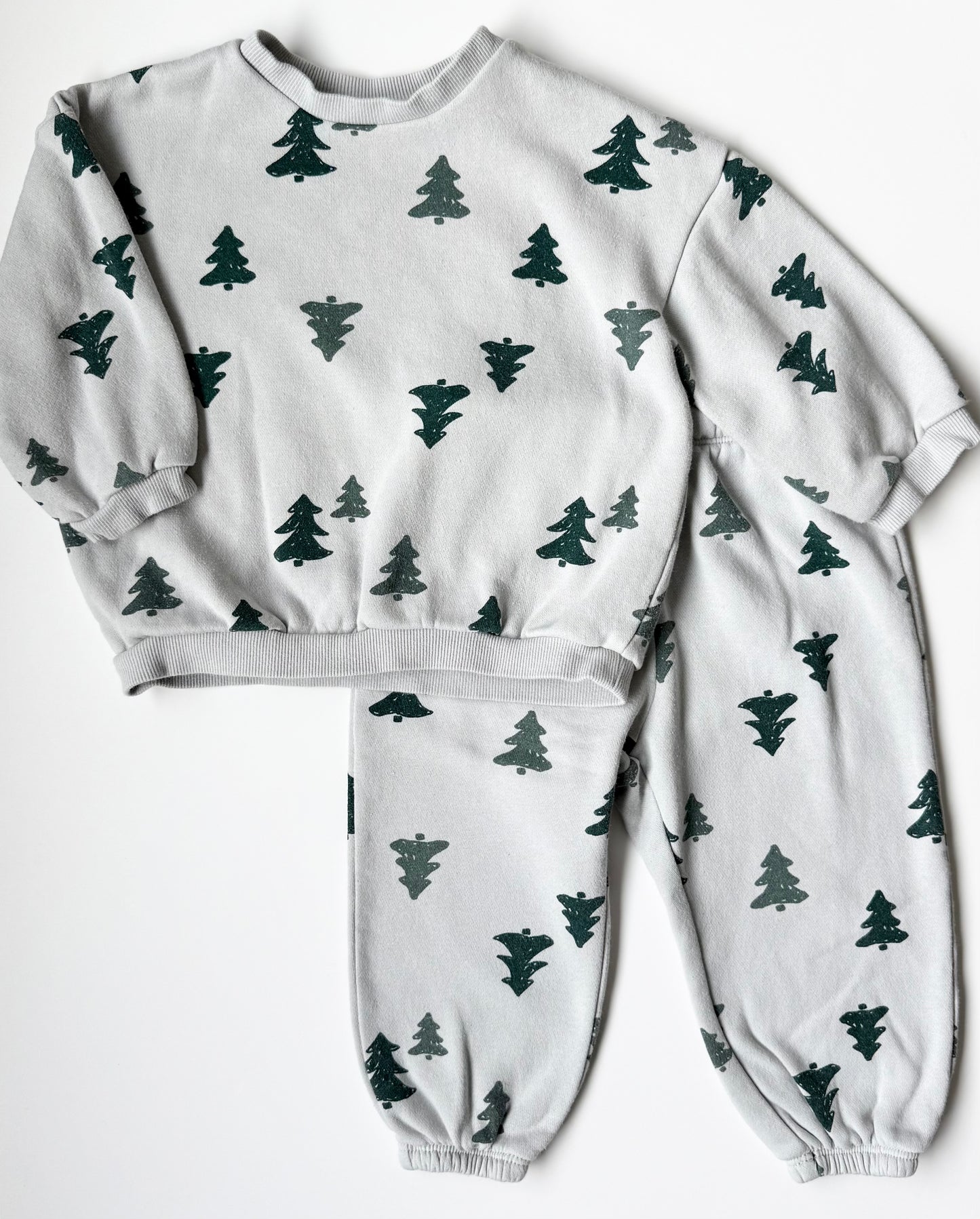 H&M Grey Trees Sweater & Pants Two Peice Set (12-18 Months)
