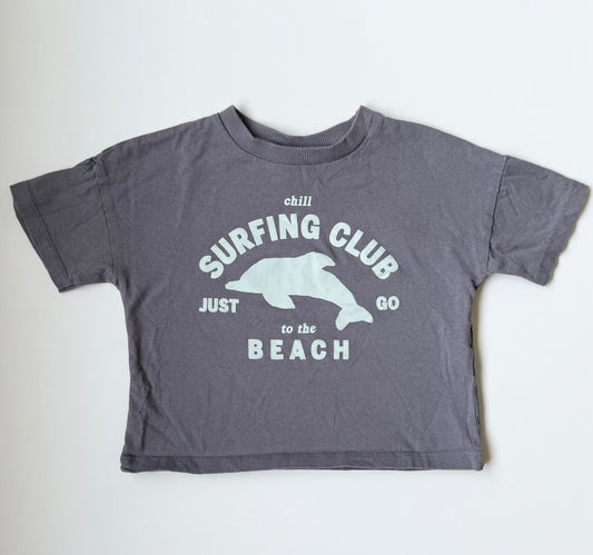 Zara Grey & Light Blue Dolphin “Surfing Club” T-Shirt (9-12 Months)