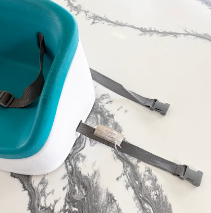 Ingenuity Turquoise & White Booster Seat