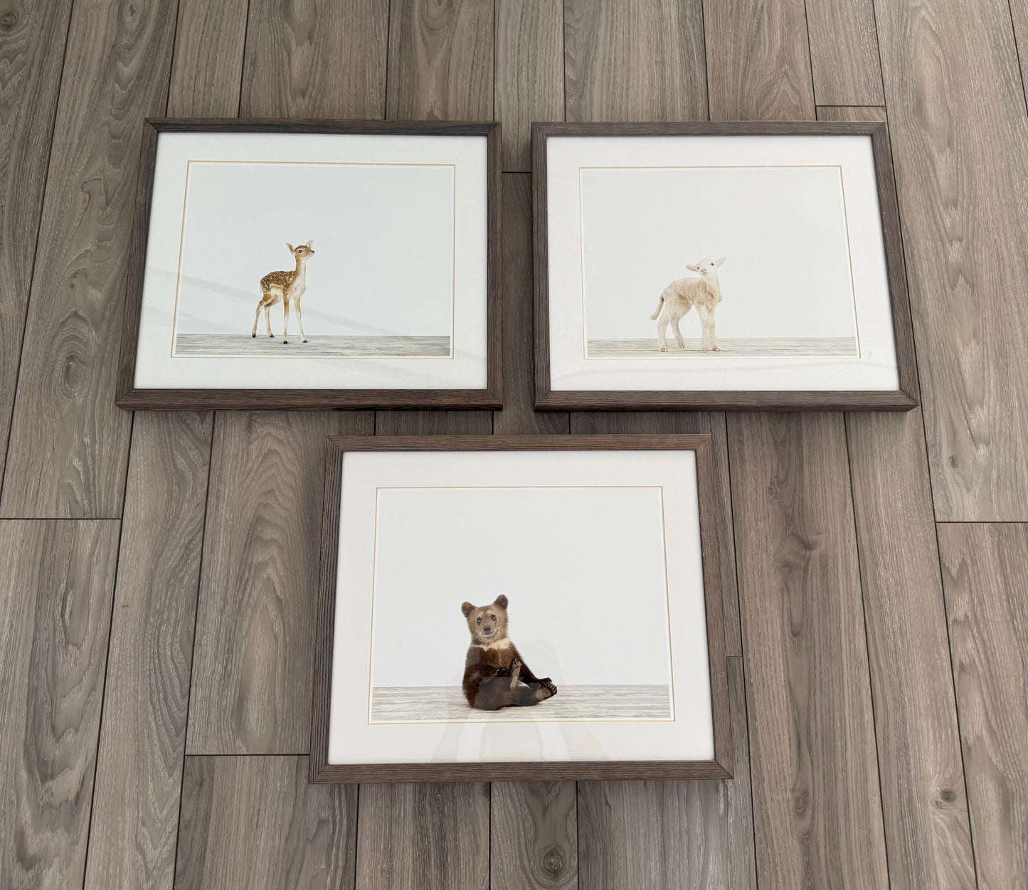 Restoration Hardware Baby & Child Nursery Sharon Montrose Animals Photos - Set Of 3