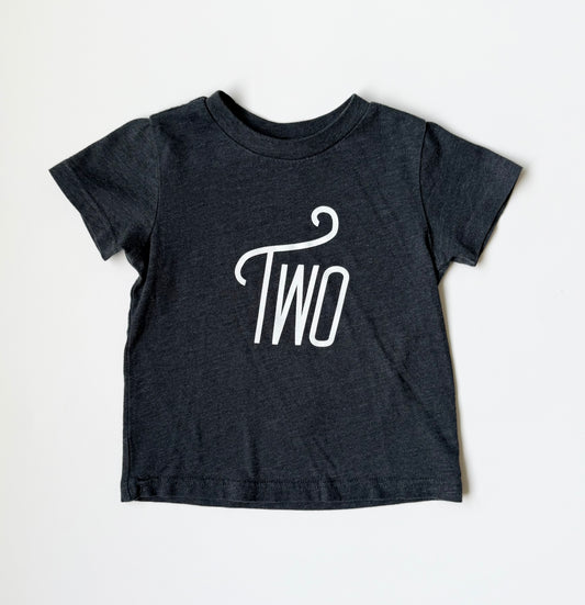 Little Orchard Dark Grey “Two” T-Shirt (2T)