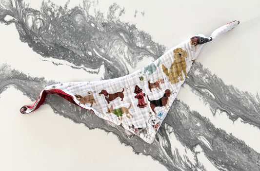 Little Unicorn Muslin Reversible Plaid & Doggie Bandana Bib