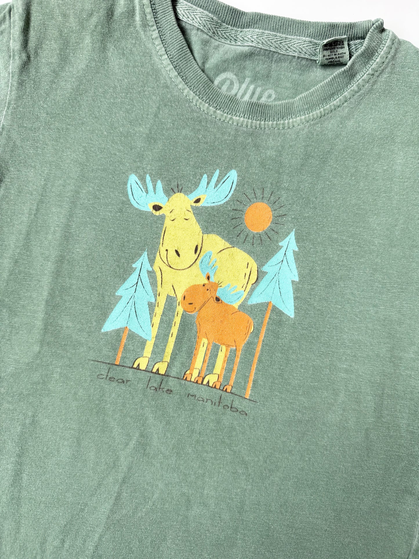Blue 84 Green Moose “Clear Lake” T-Shirt (3T)