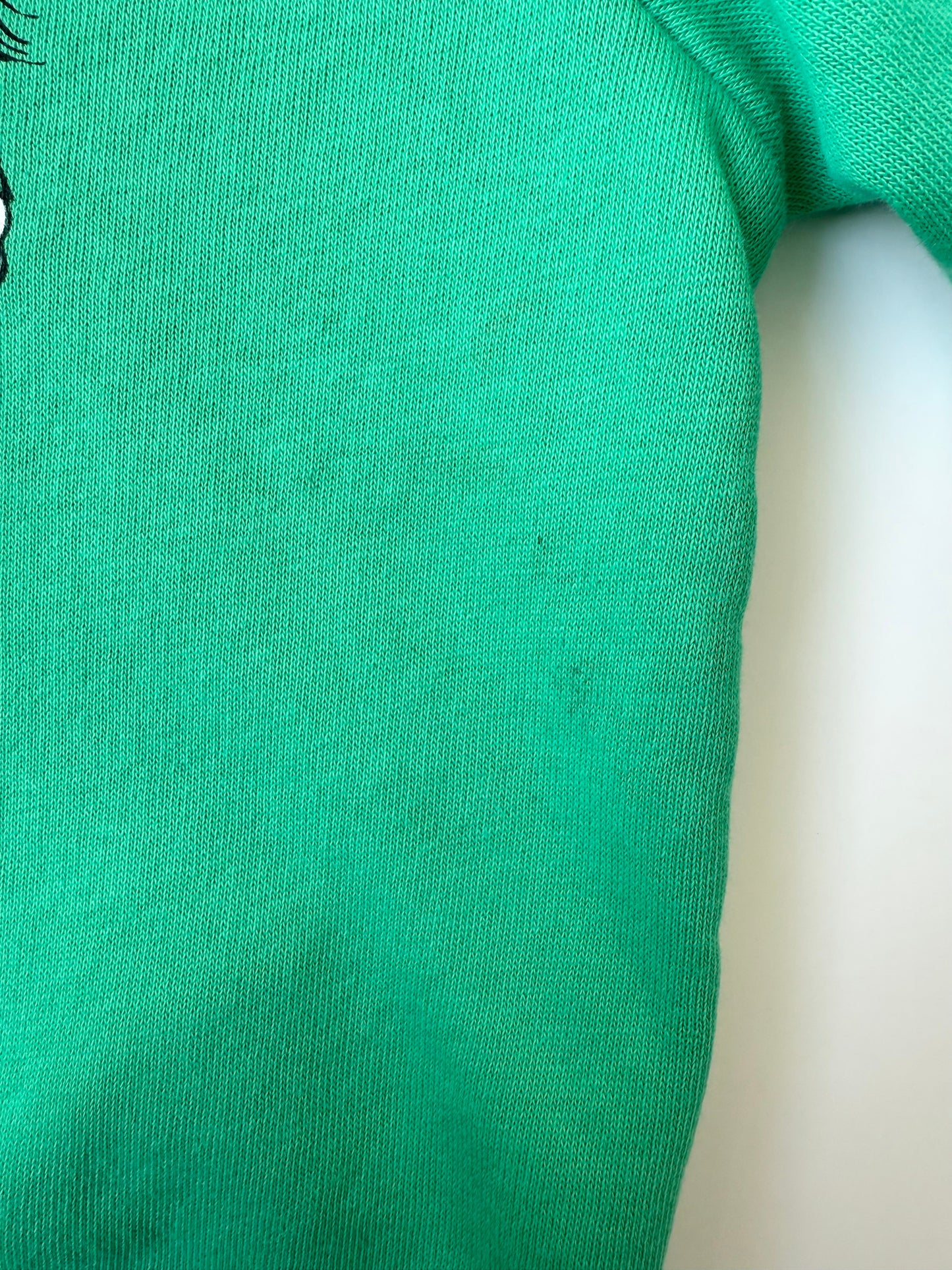 H&M Green Pippi Longstocking Hoodie (2-4 Years)