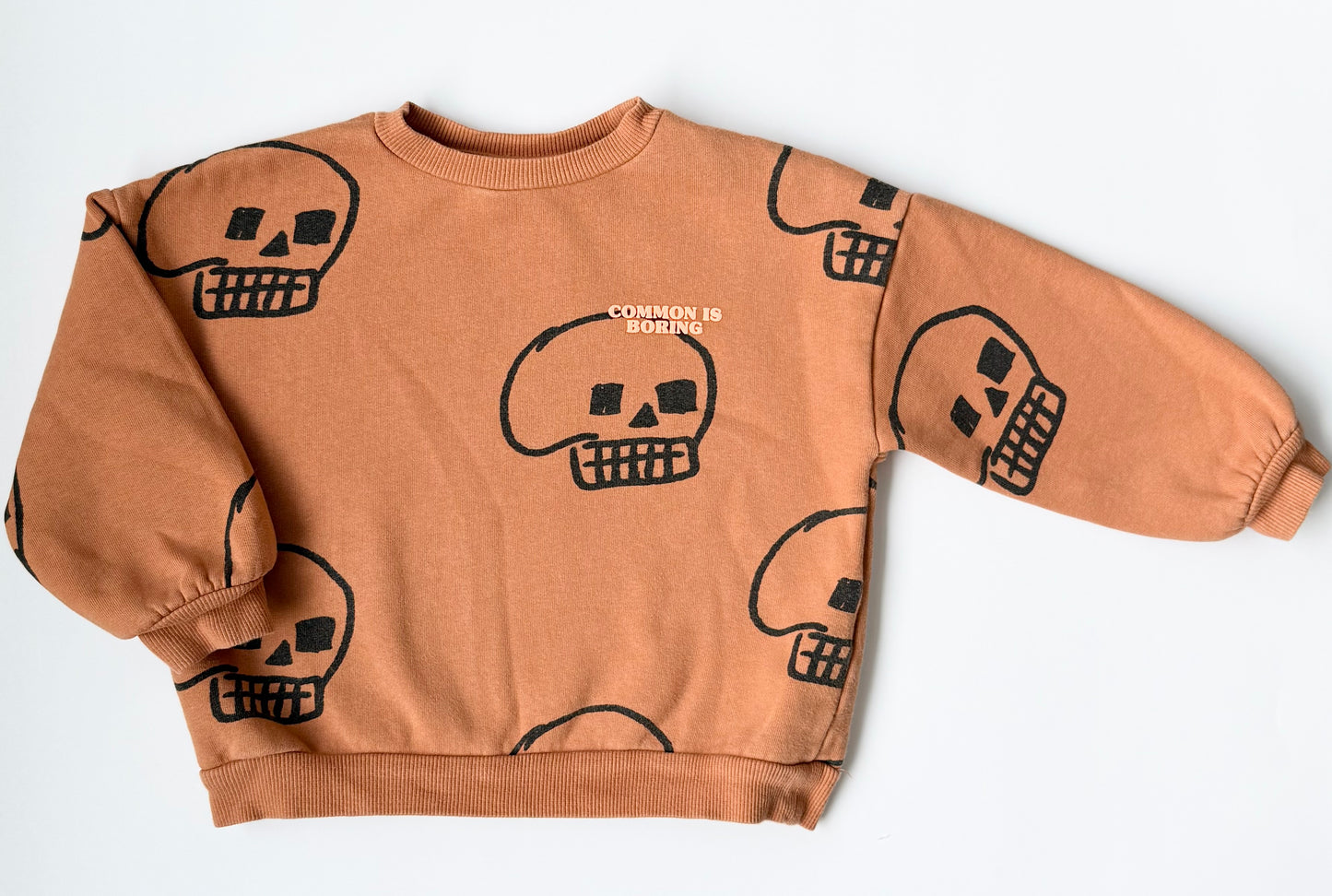 Zara Brown Skulls “Common is Boring” Crewneck Sweater (3-4 Years)
