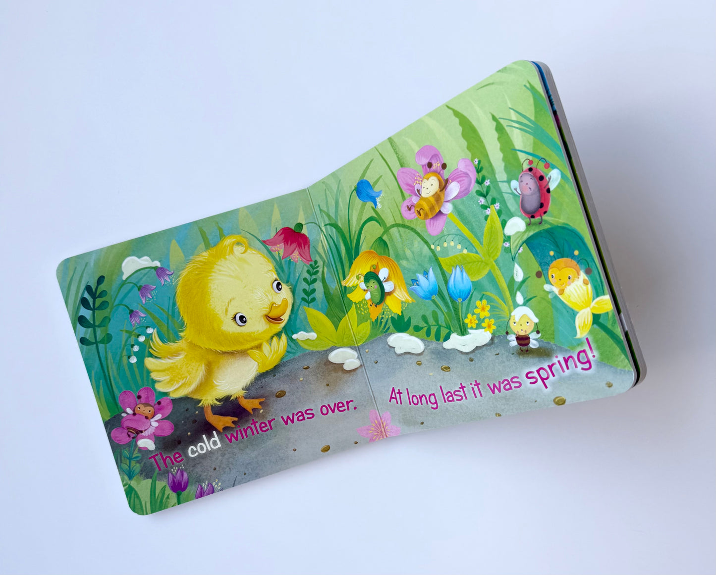 The Itsy Bitsy Duckling Board Book