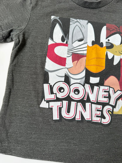 Looney Tunes Dark Grey Characters T-Shirt (3T)