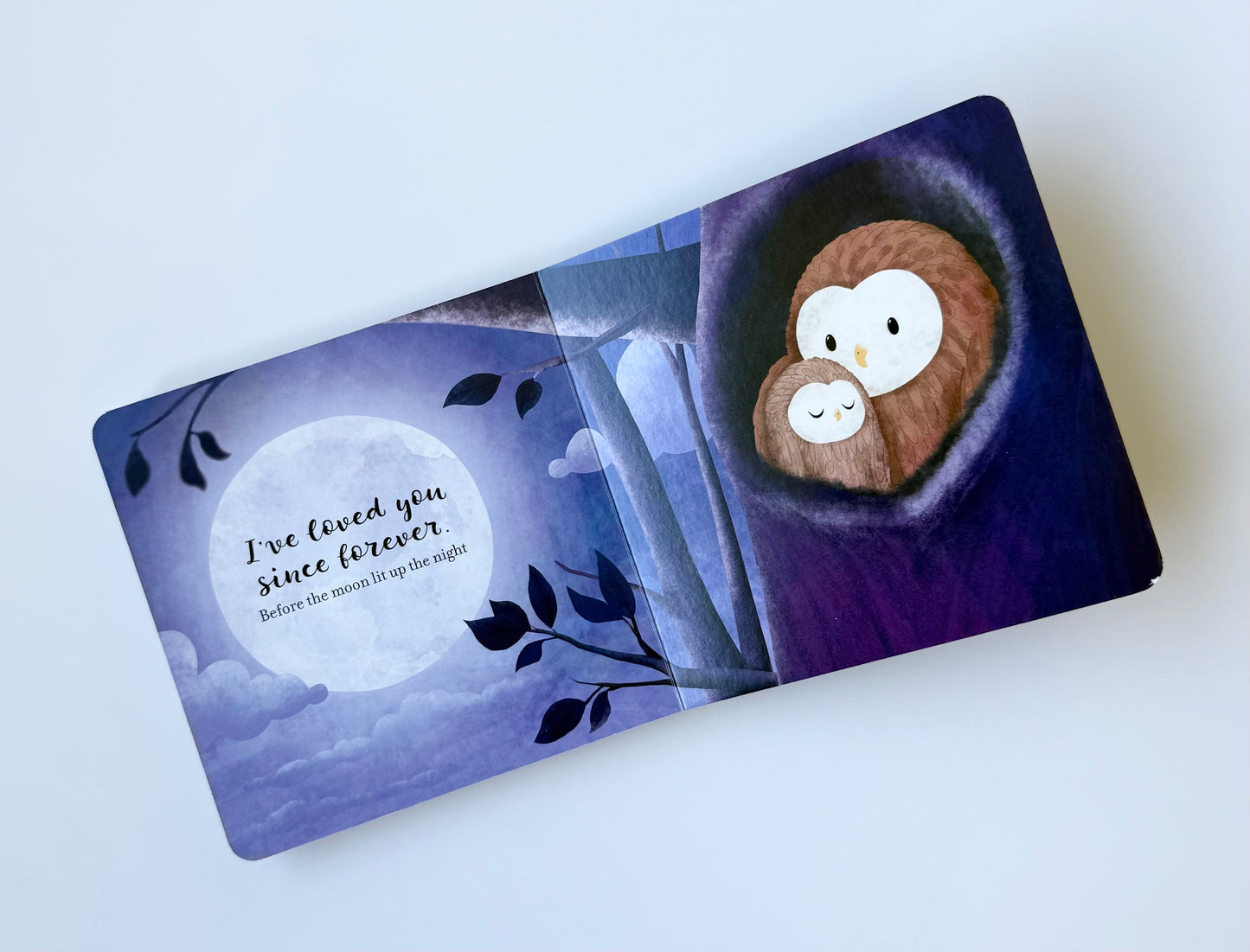 I’ve Loved You Since Forever Board Book