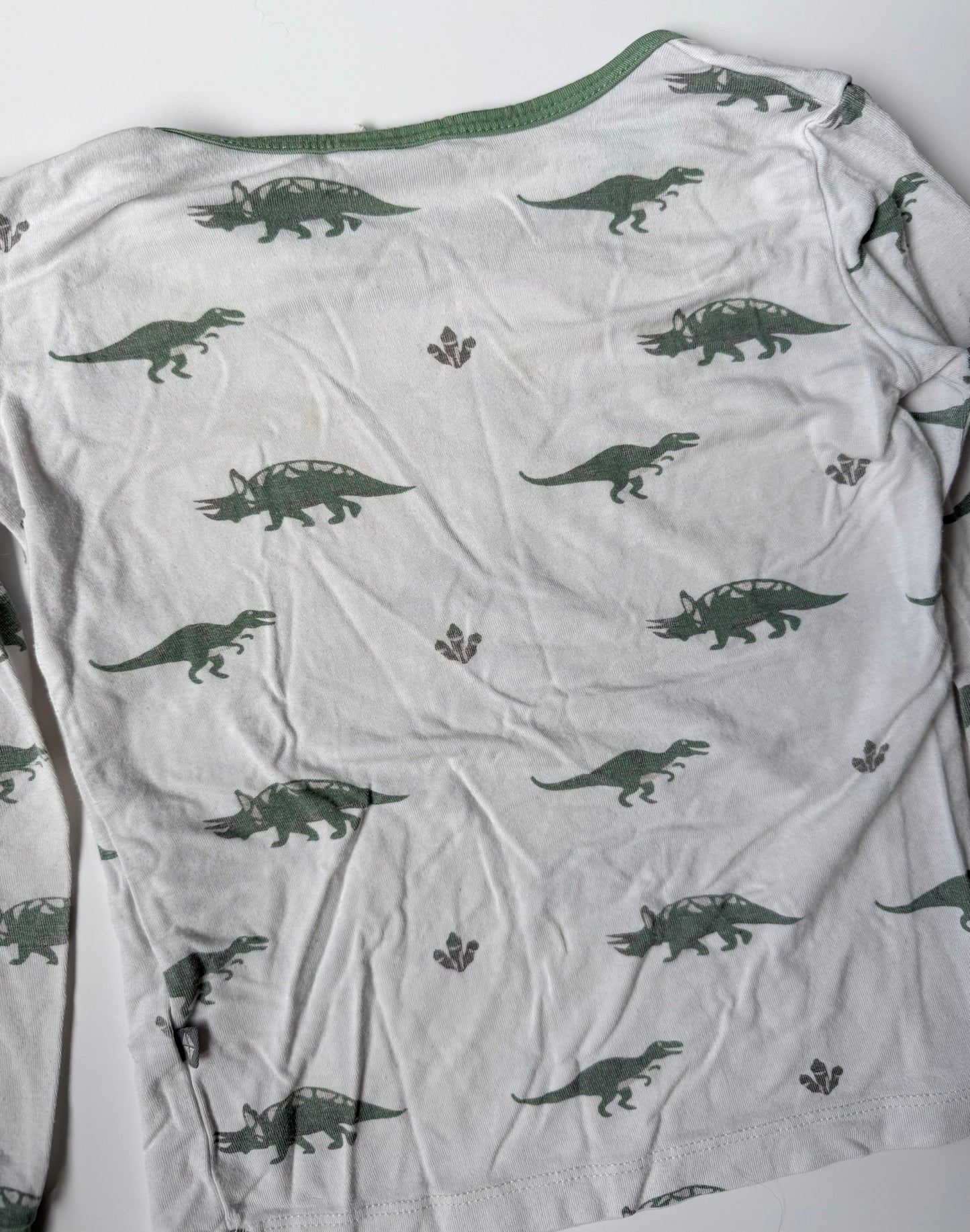 Kyte Dino Long Sleeve PJ Set (4T)