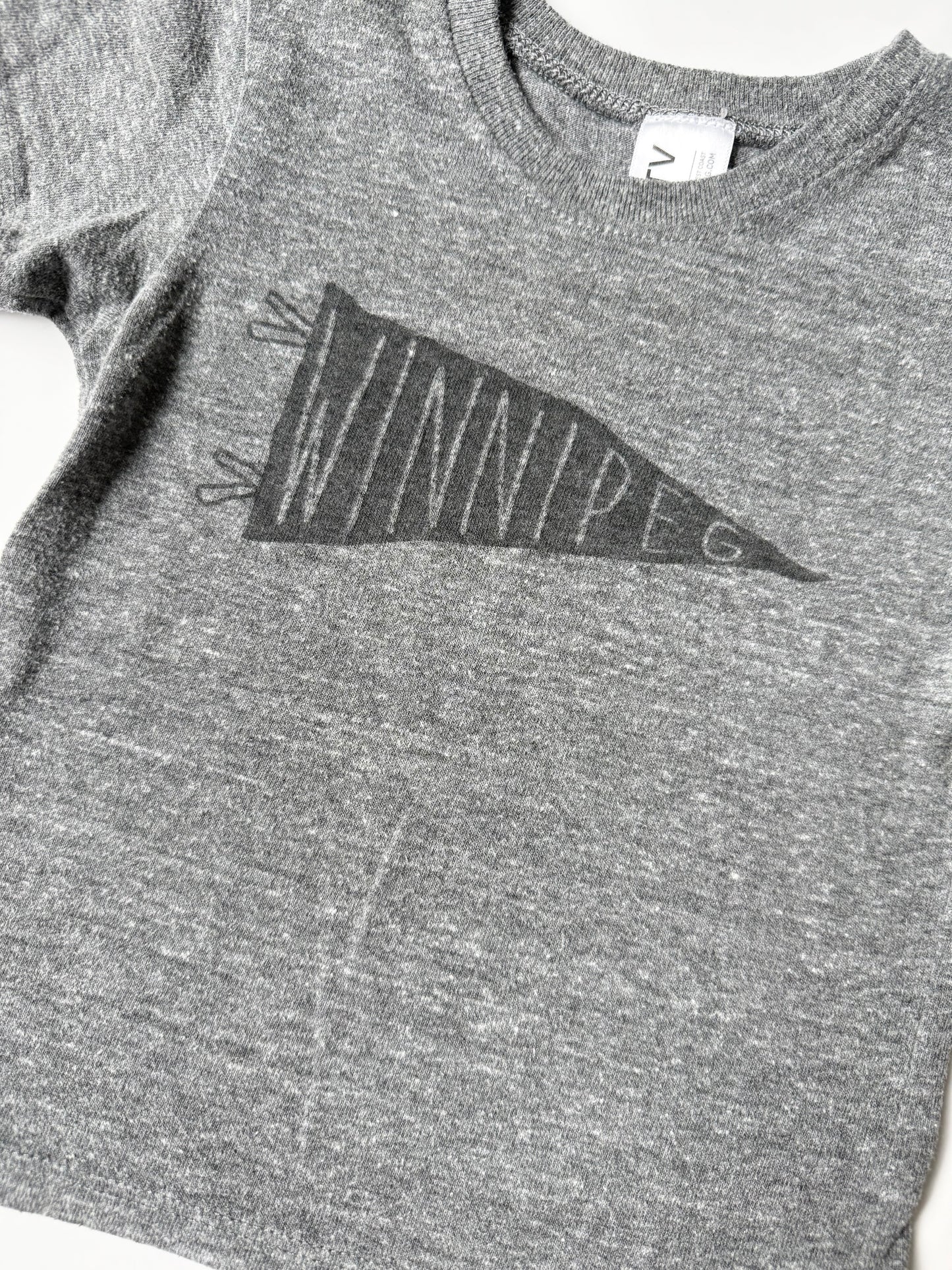 LCMTV Grey Winnipeg T-Shirt (18-24 Months)