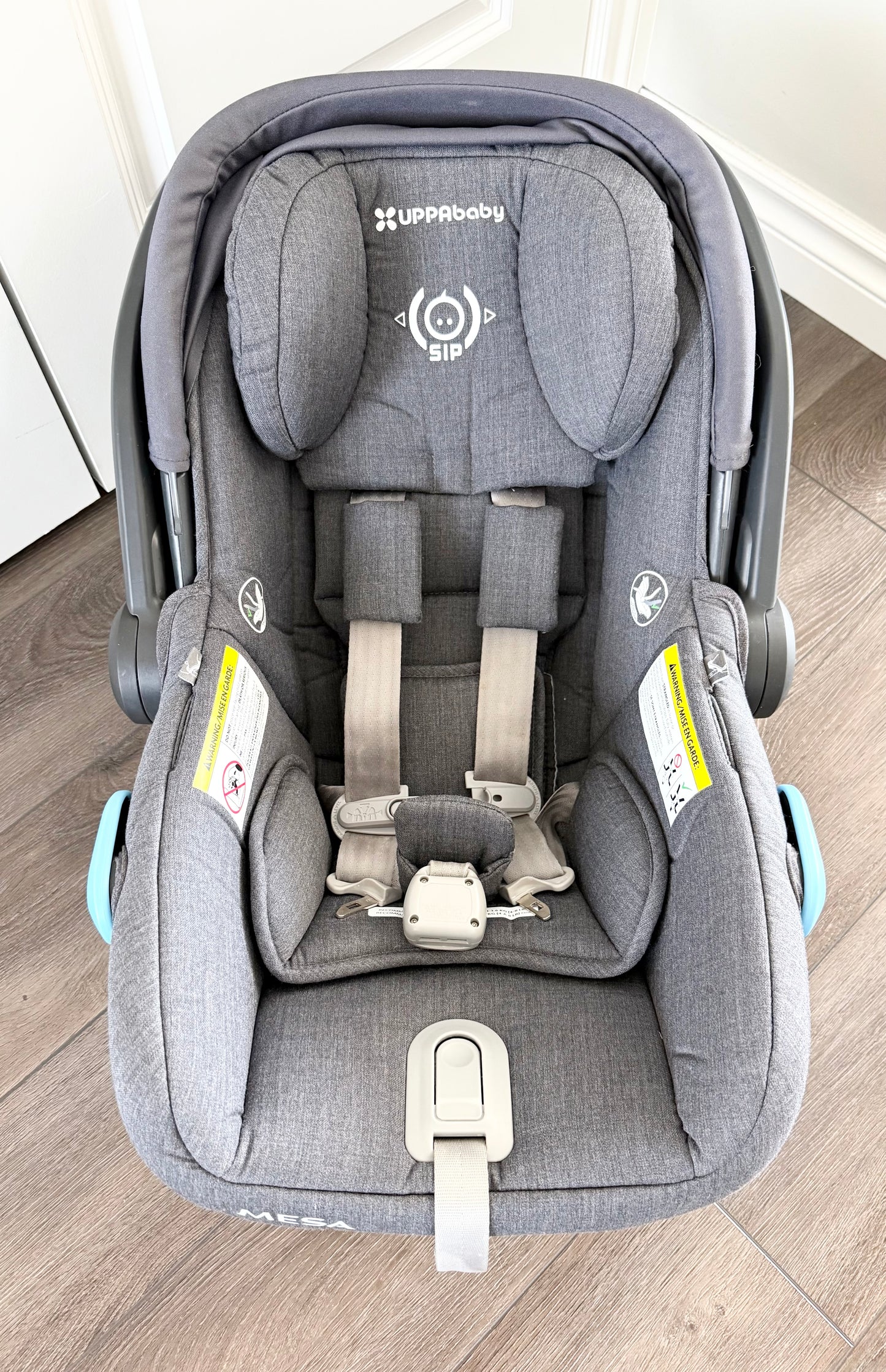 Uppababy Mesa V2 Infant Car Seat in Greyson & Travel Bag
